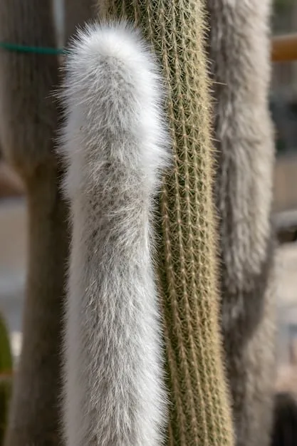 A detailed close-up of different fabric textures layered together, such as a chunky knit sweater over a silk blouse, with a leather wristband visible, showcasing a mix of soft and hard materials.