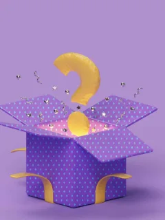 Shein Mystery Box