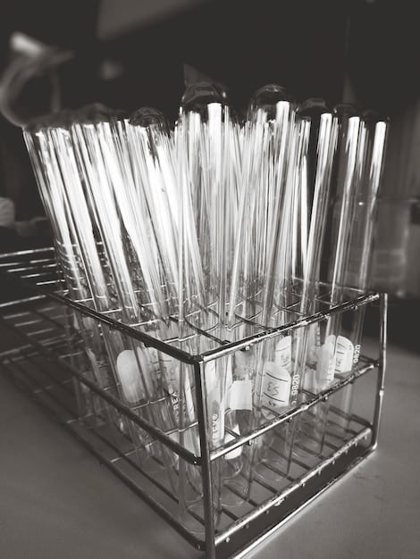 An array of makeup brushes meticulously organized in various clear acrylic and cylindrical holders, sorted by type (face, eye), highlighting clean bristles and easy accessibility.