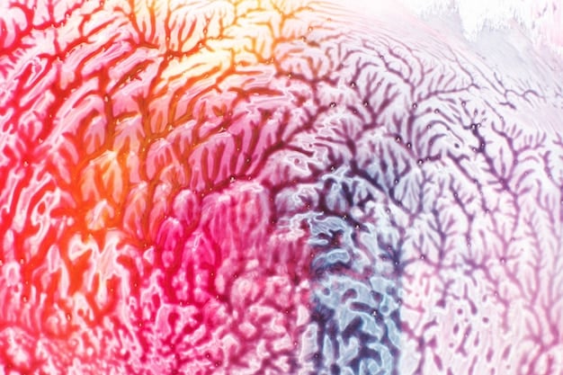 A detailed illustration of skin layers showing peptides interacting with fibroblasts to stimulate collagen production, depicted with scientific accuracy and clear labels.