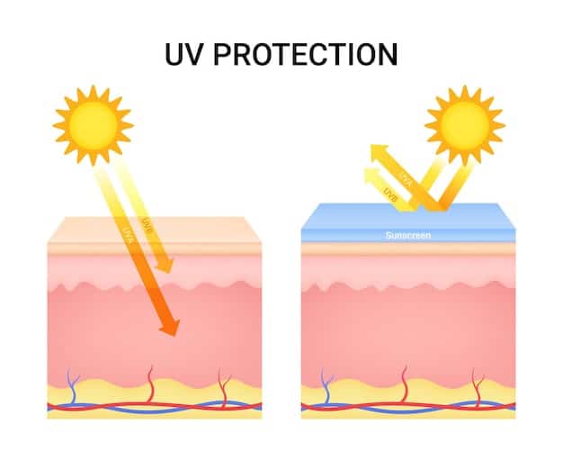 A detailed visual representation of a healthy skin barrier versus a compromised one due to over-exfoliation, emphasizing the importance of hydration and sun protection.