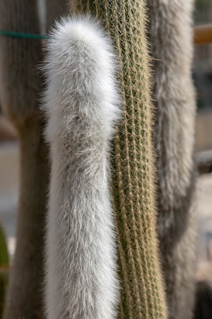 A detailed close-up of different fabric textures layered together, such as a chunky knit sweater over a silk blouse, with a leather wristband visible, showcasing a mix of soft and hard materials.